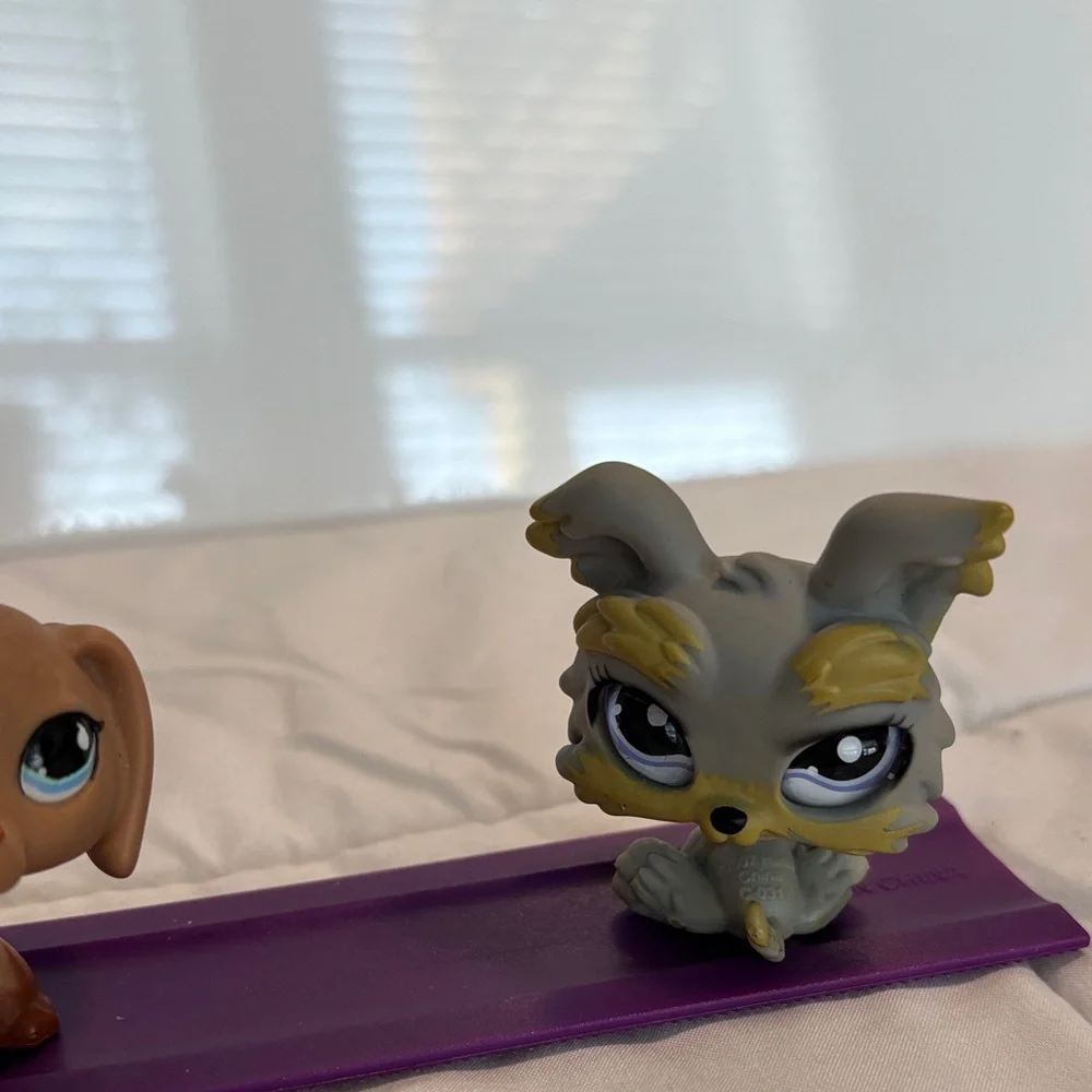 Littlest Pet Shop Trio - Cat Orange, Dog Brown, and Dog Gray - Picture 4 of 4
